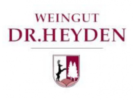 Dr. Heyden Oppenheimer Logo