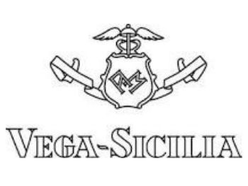 Vega Sicilia Logo